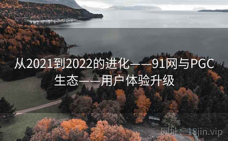 从2021到2022的进化——91网与PGC生态——用户体验升级