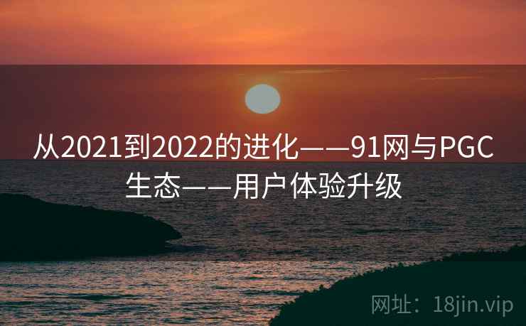 从2021到2022的进化——91网与PGC生态——用户体验升级