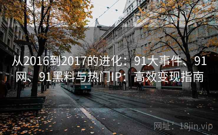 从2016到2017的进化：91大事件、91网、91黑料与热门IP：高效变现指南