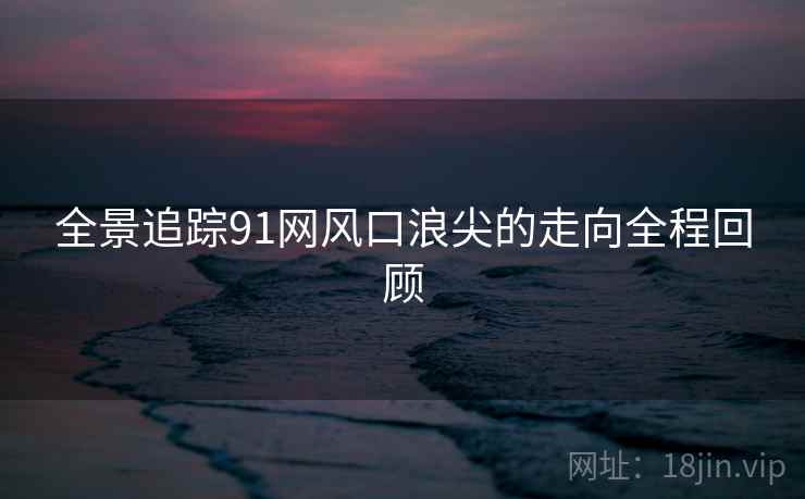 全景追踪91网风口浪尖的走向全程回顾