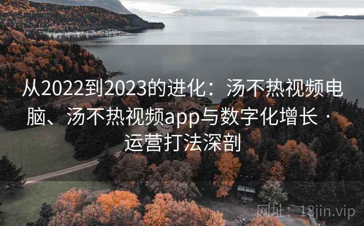 从2022到2023的进化：汤不热视频电脑、汤不热视频app与数字化增长 · 运营打法深剖