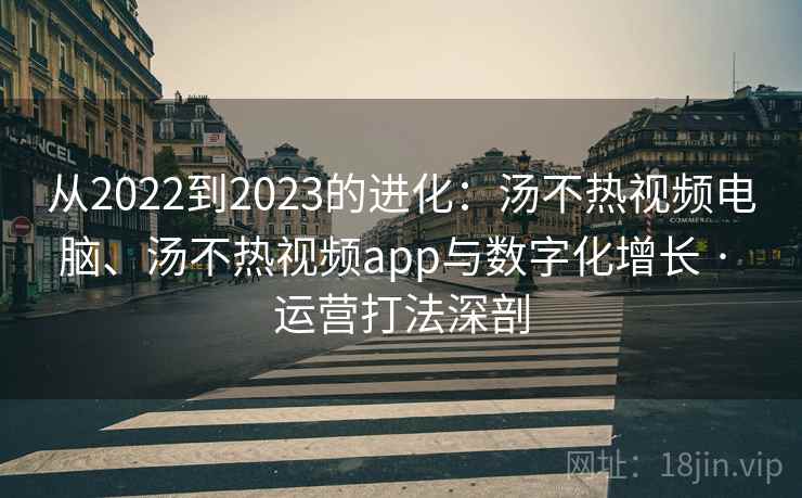从2022到2023的进化：汤不热视频电脑、汤不热视频app与数字化增长 · 运营打法深剖