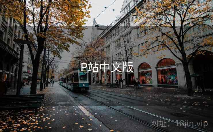 P站中文版