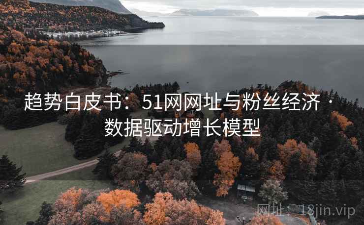 趋势白皮书：51网网址与粉丝经济 · 数据驱动增长模型