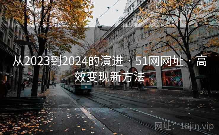 从2023到2024的演进 · 51网网址 · 高效变现新方法