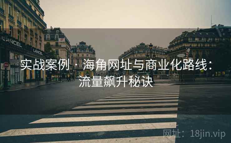 实战案例 · 海角网址与商业化路线：流量飙升秘诀
