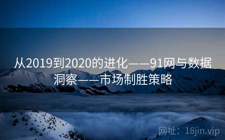 从2019到2020的进化——91网与数据洞察——市场制胜策略