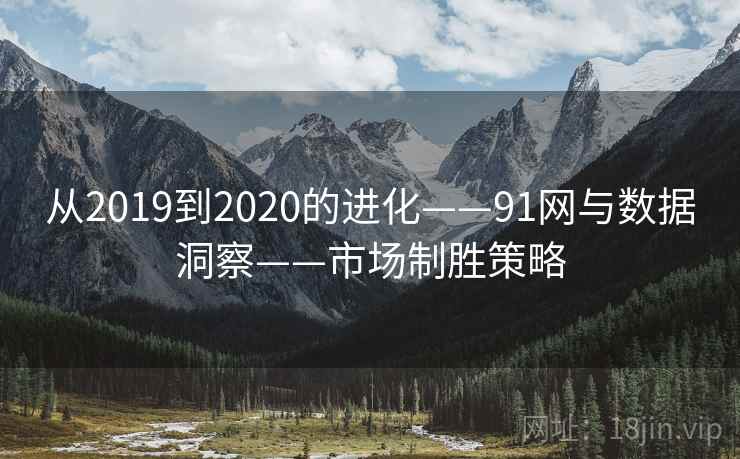 从2019到2020的进化——91网与数据洞察——市场制胜策略