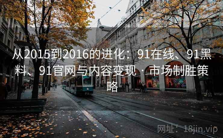 从2015到2016的进化：91在线、91黑料、91官网与内容变现 · 市场制胜策略