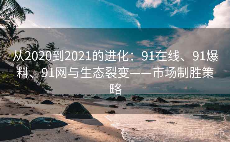 从2020到2021的进化：91在线、91爆料、91网与生态裂变——市场制胜策略