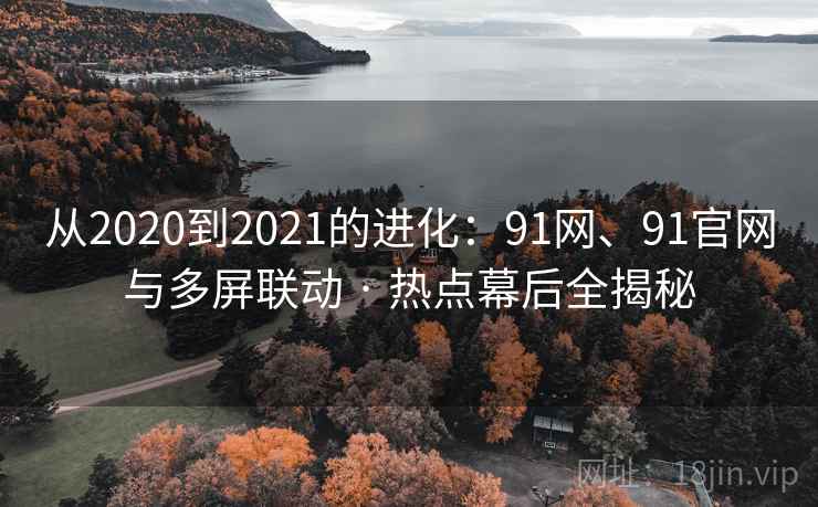 从2020到2021的进化：91网、91官网与多屏联动 · 热点幕后全揭秘