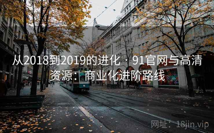 从2018到2019的进化 · 91官网与高清资源：商业化进阶路线