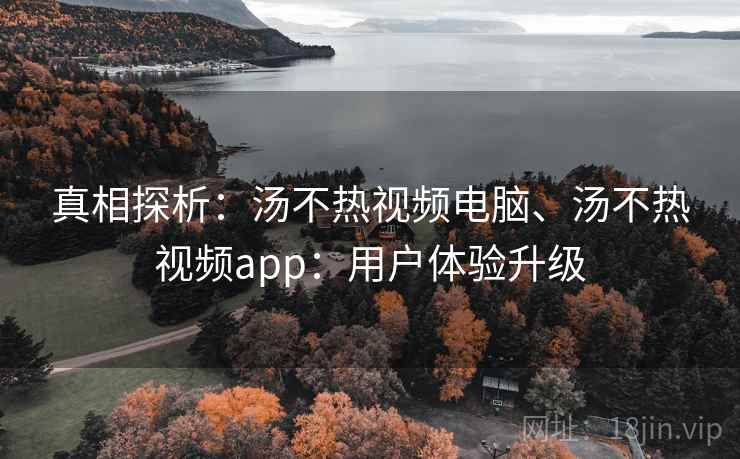 真相探析：汤不热视频电脑、汤不热视频app：用户体验升级