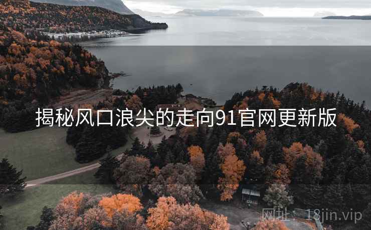 揭秘风口浪尖的走向91官网更新版