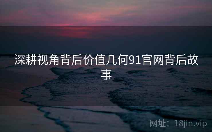 深耕视角背后价值几何91官网背后故事