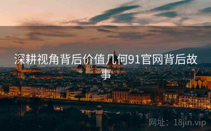 深耕视角背后价值几何91官网背后故事