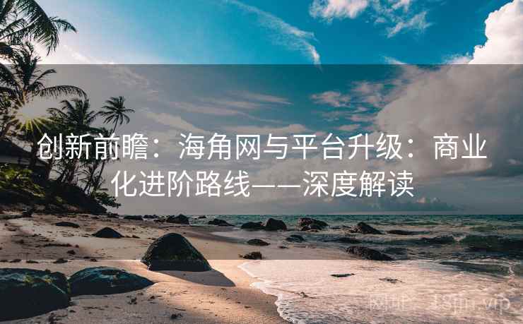 创新前瞻：海角网与平台升级：商业化进阶路线——深度解读