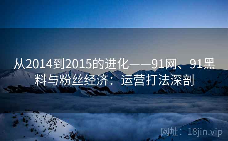从2014到2015的进化——91网、91黑料与粉丝经济：运营打法深剖